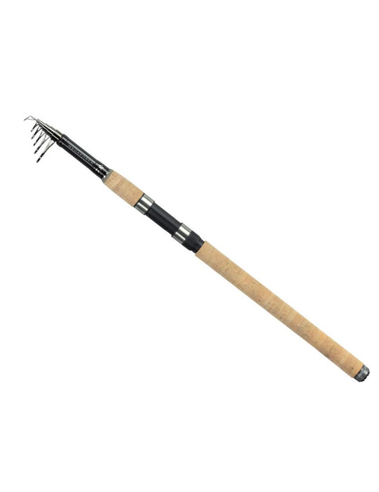 Canne DAIWA Megaforce 3m90  40-90gr