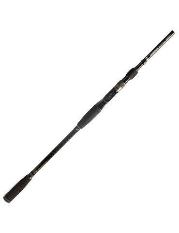 Canne BFT 92 SwimBuster 2.38m 7'9 up to 40-120gr