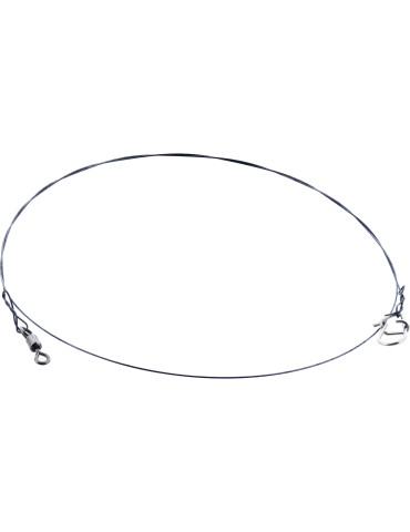 Bas de ligne WESTIN titanium leader 0.30mm  25cm