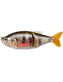 Leurre BIWAA glidebeast 16cm 69gr  real perch