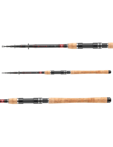 Canne DAIWA Megaforce tele 2m40  20-60gr