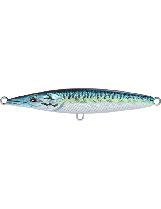 XORUS Asturie 130 Blue mackerel
