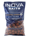 FUN FISHING inova scopex-squid 20mm - 800gr
