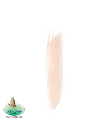 Substitut de Condor Fly Scene Light Cahill