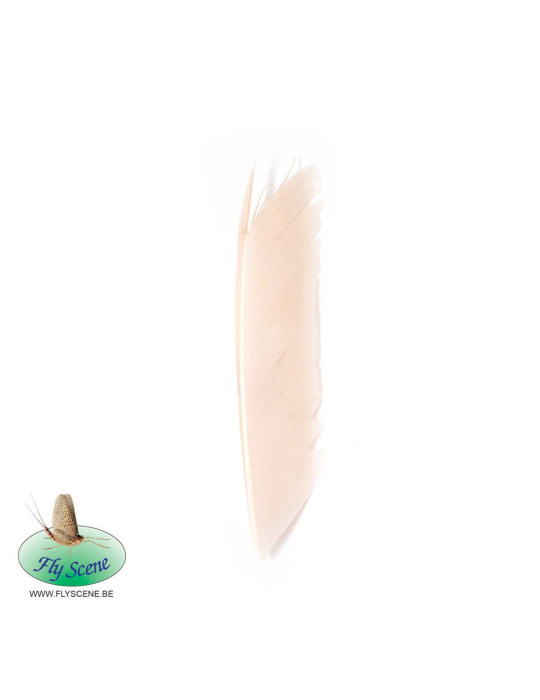 Substitut de Condor Fly Scene Light Cahill