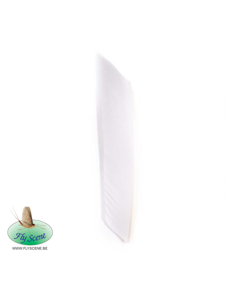 Substitut de Condor Fly Scene White