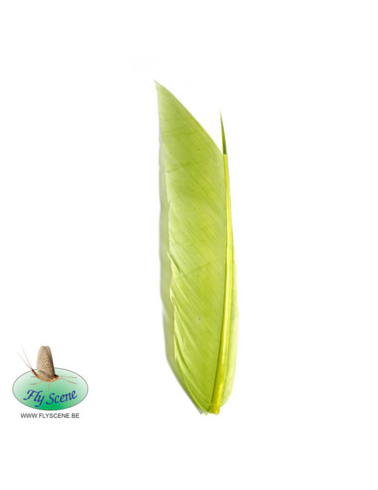 Substitut de Condor Fly Scene Caddis Green