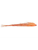 Pike tube FLY SCENE Bauer's UV Carrot
