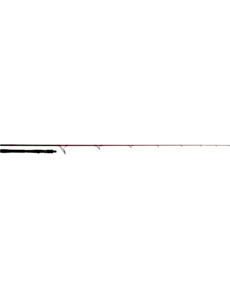 Canne TENRYU INJECTION SP 76MH 2m29  14-35gr
