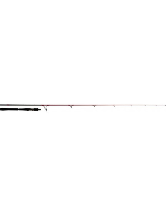 Canne TENRYU INJECTION SP 76MH 2m29  14-35gr