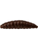 Leurre WESTIN maggot 4.8cm garlic/cheese- dark brown 8pcs