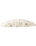 Leurre WESTIN maggot 4.8cm banana- white 8pcs