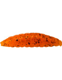 Leurre WESTIN maggot 4.8cm garlic/cheese- orange 8pcs