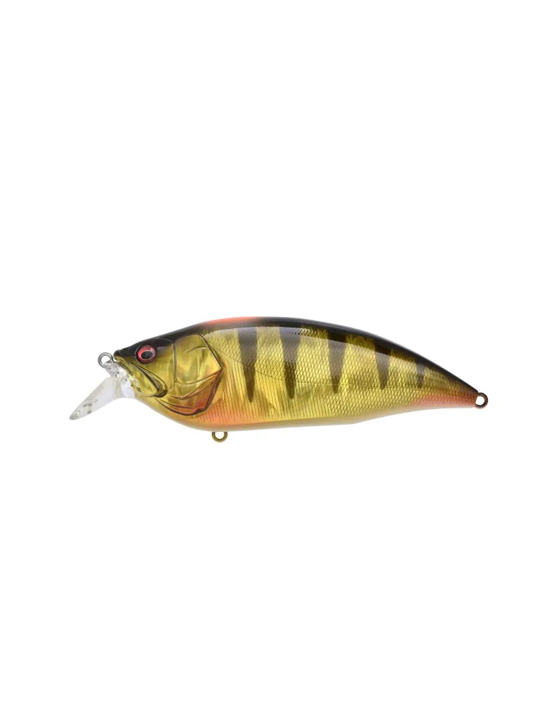 MEGABASS Big-M 4.0 SP-C Indicator Perch