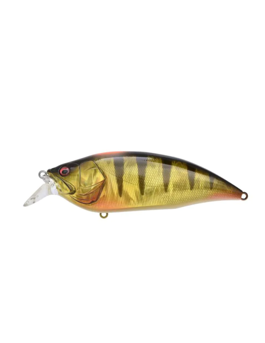 Leurre MEGABASS Big-M 4.0 SP-C Indicator Perch