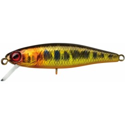 Leurre ILLEX Tiny fry 50mm Gold trout