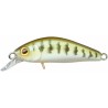 Leurre ILLEX Chubby minnow 3.5cm Vairon