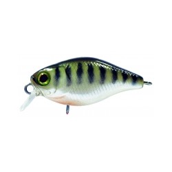 Leurre ILLEX Chubby 38mm  Vairon