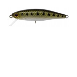 Leurre ILLEX Tiny fry 50mm Goujon