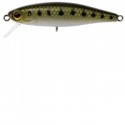 Leurre ILLEX Tiny fry 50mm Goujon