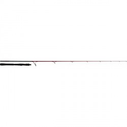 Canne TENRYU INJECTION SP 73M EVO 2m21 5-28gr