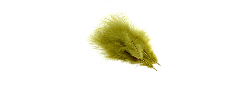 Feather of Marabou