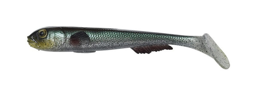 Goby Shad